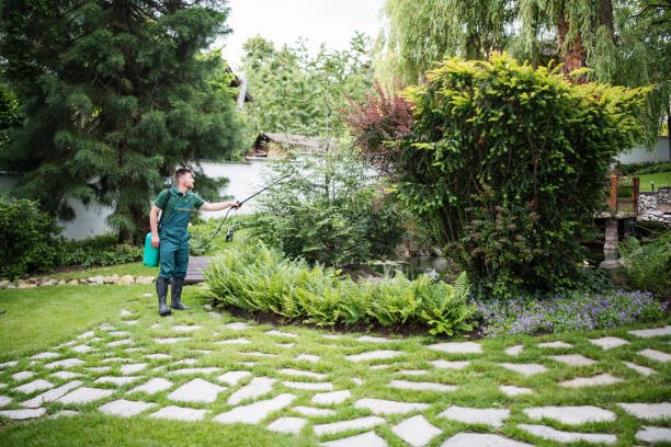 Best Insect Control  in Sellersville, PA
