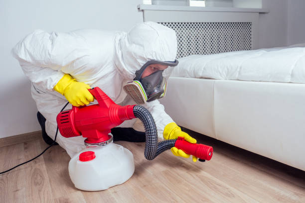 Best Bed Bug Extermination  in Sellersville, PA
