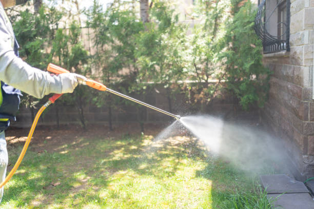 Best Pest Removal Services  in Sellersville, PA