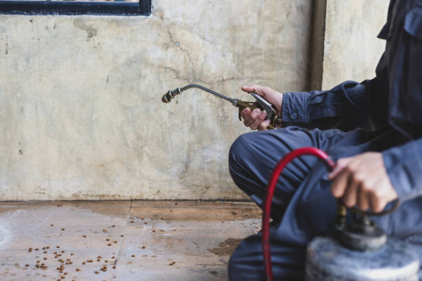 Best Pest Prevention Services  in Sellersville, PA