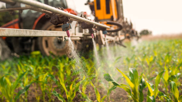 Best Commercial Pest Control Services  in Sellersville, PA