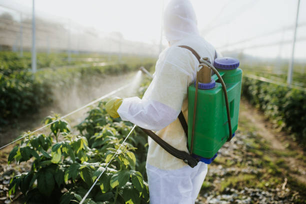 Best Emergency Pest Control  in Sellersville, PA